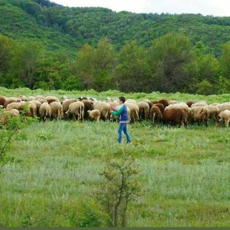 فيلا Ранчо Бандера Tservenyano المظهر الخارجي الصورة