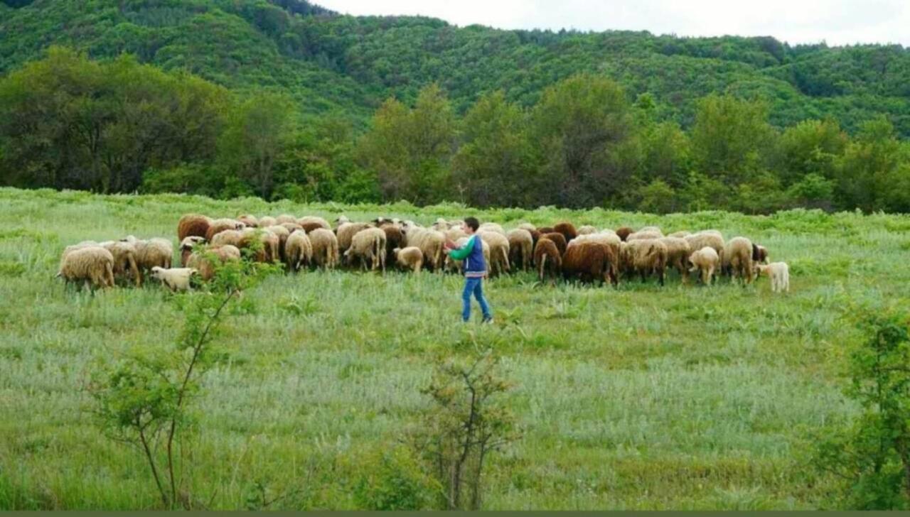 فيلا Ранчо Бандера Tservenyano المظهر الخارجي الصورة